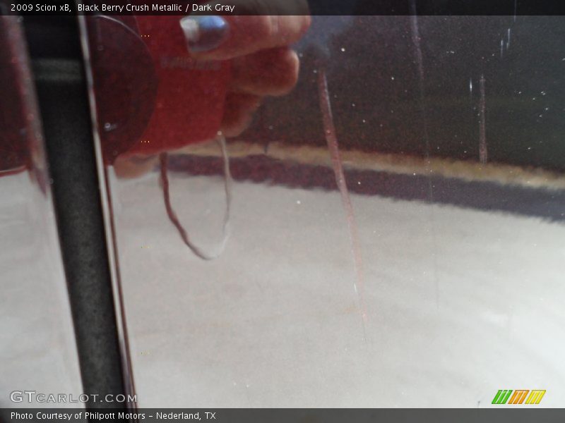 Black Berry Crush Metallic / Dark Gray 2009 Scion xB