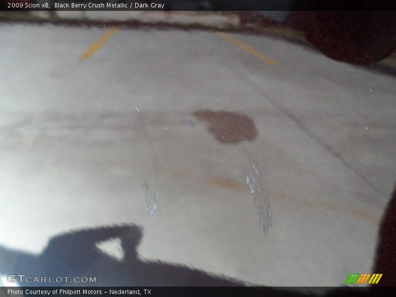 Black Berry Crush Metallic / Dark Gray 2009 Scion xB