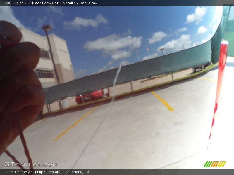 Black Berry Crush Metallic / Dark Gray 2009 Scion xB