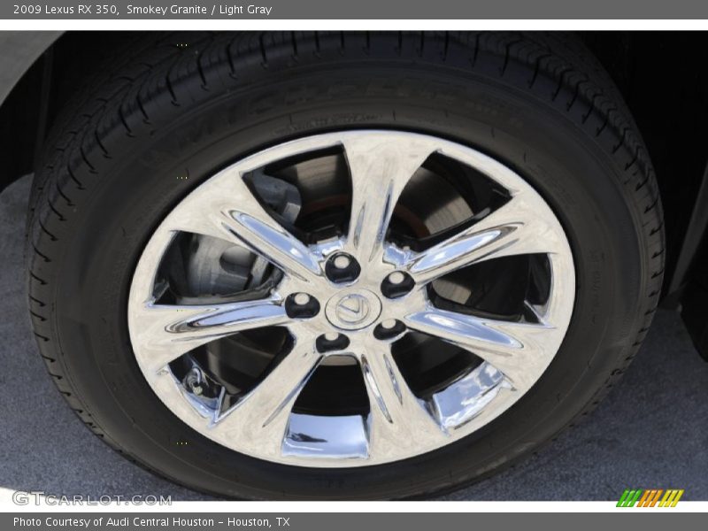 Smokey Granite / Light Gray 2009 Lexus RX 350