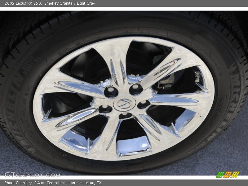 Smokey Granite / Light Gray 2009 Lexus RX 350