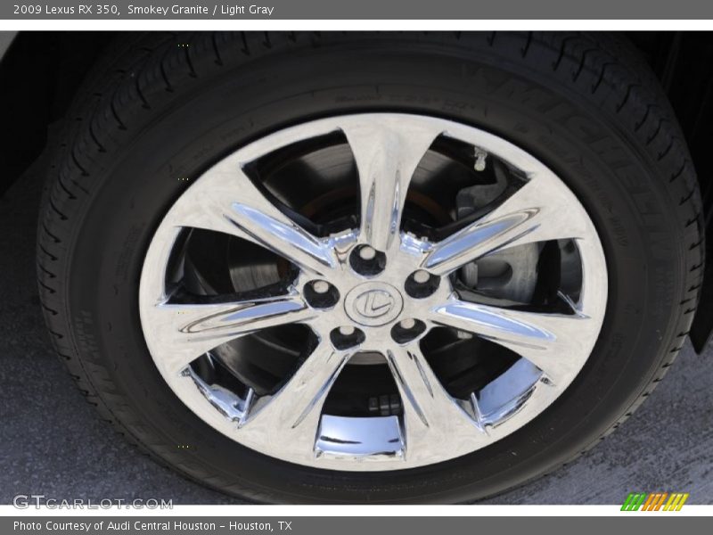 Smokey Granite / Light Gray 2009 Lexus RX 350