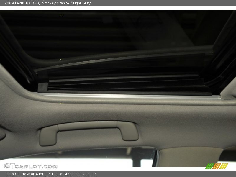 Smokey Granite / Light Gray 2009 Lexus RX 350