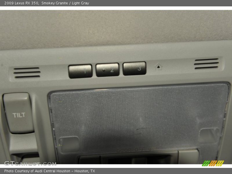 Smokey Granite / Light Gray 2009 Lexus RX 350