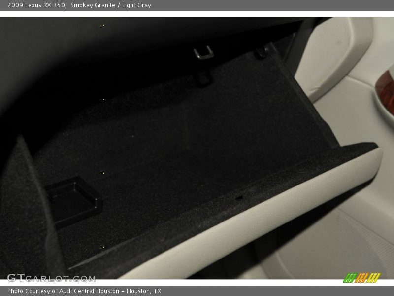 Smokey Granite / Light Gray 2009 Lexus RX 350