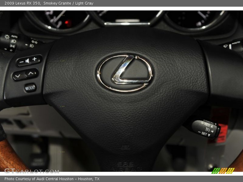 Smokey Granite / Light Gray 2009 Lexus RX 350