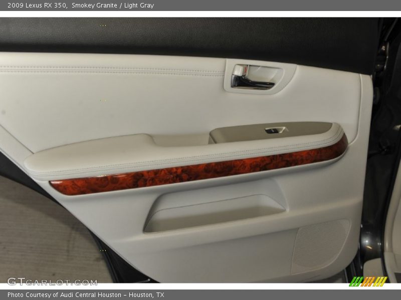 Smokey Granite / Light Gray 2009 Lexus RX 350