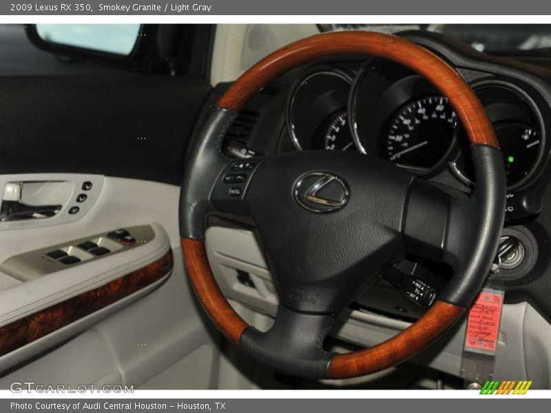 Smokey Granite / Light Gray 2009 Lexus RX 350