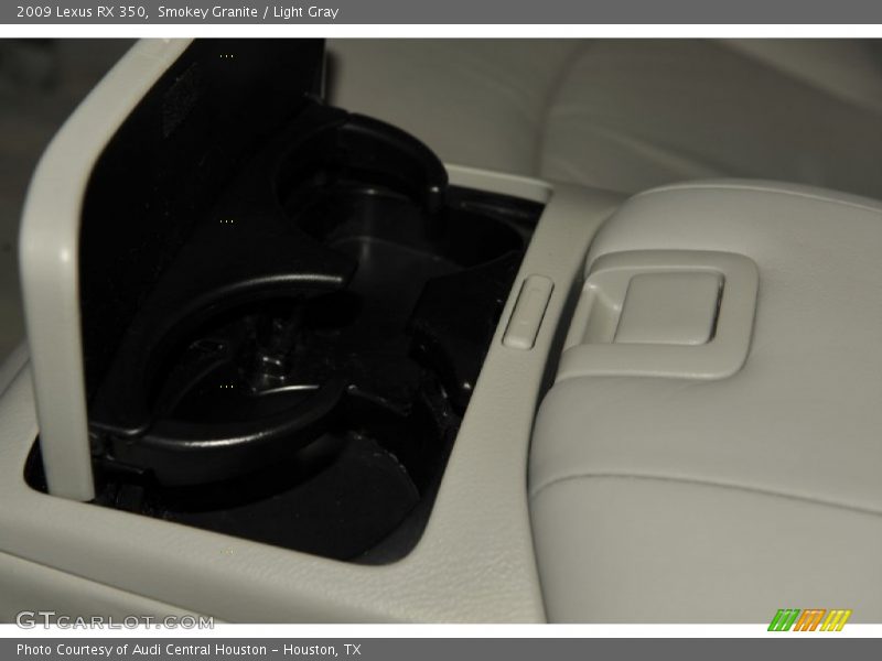 Smokey Granite / Light Gray 2009 Lexus RX 350