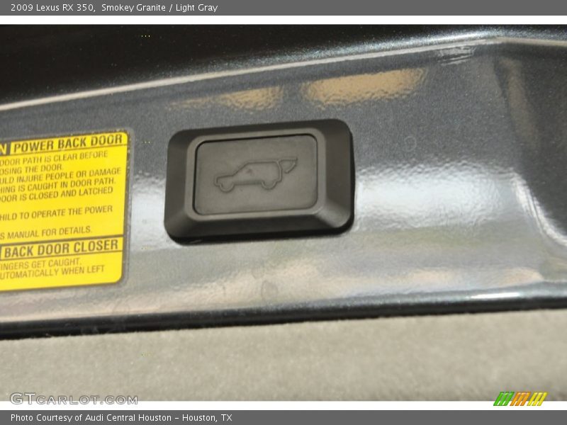 Smokey Granite / Light Gray 2009 Lexus RX 350
