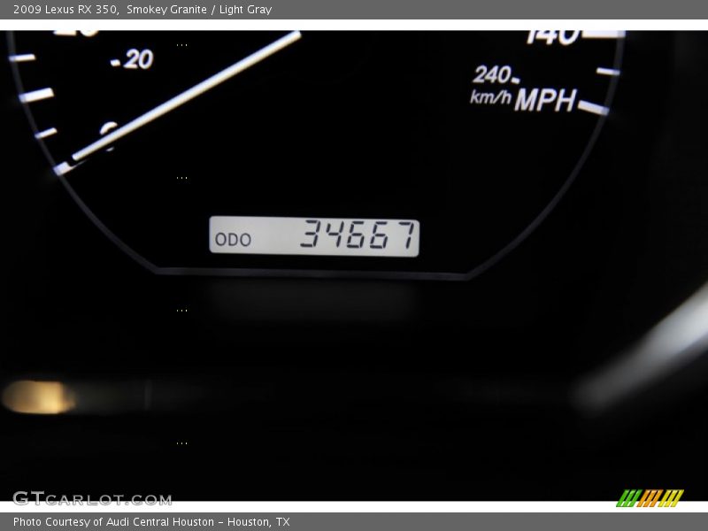 Smokey Granite / Light Gray 2009 Lexus RX 350