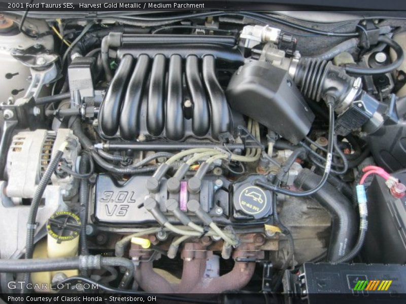 Harvest Gold Metallic / Medium Parchment 2001 Ford Taurus SES