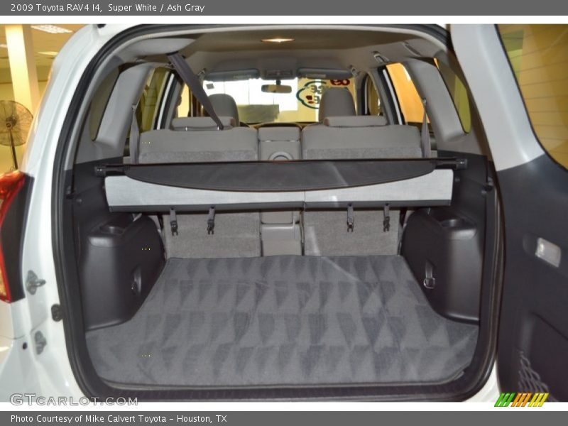 Super White / Ash Gray 2009 Toyota RAV4 I4