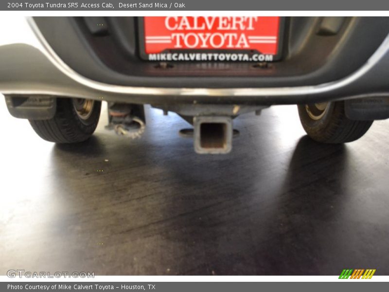 Desert Sand Mica / Oak 2004 Toyota Tundra SR5 Access Cab
