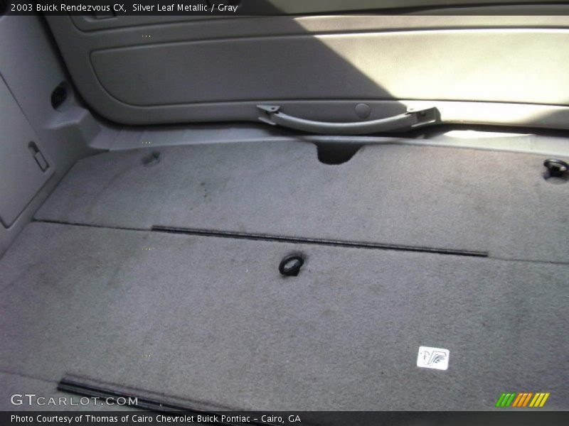 Silver Leaf Metallic / Gray 2003 Buick Rendezvous CX