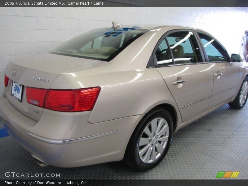 Camel Pearl / Camel 2009 Hyundai Sonata Limited V6