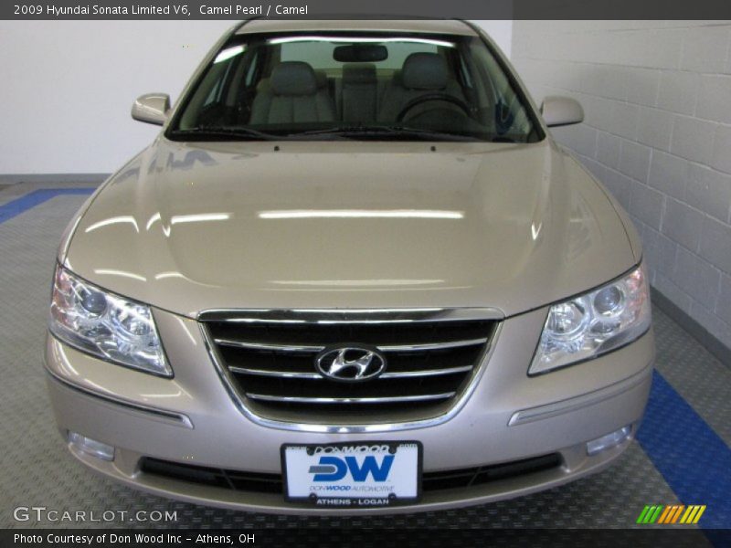 Camel Pearl / Camel 2009 Hyundai Sonata Limited V6