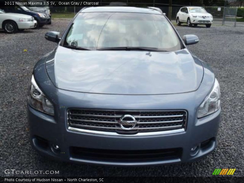 Ocean Gray / Charcoal 2011 Nissan Maxima 3.5 SV