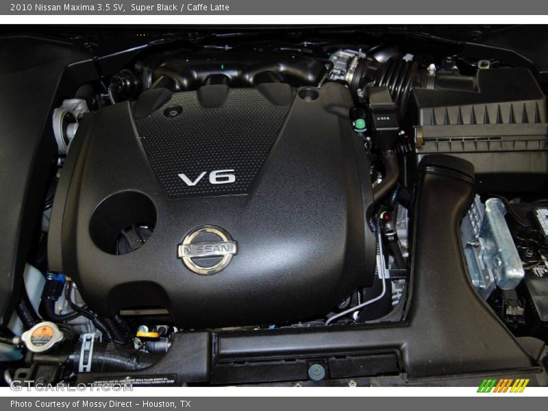 Super Black / Caffe Latte 2010 Nissan Maxima 3.5 SV