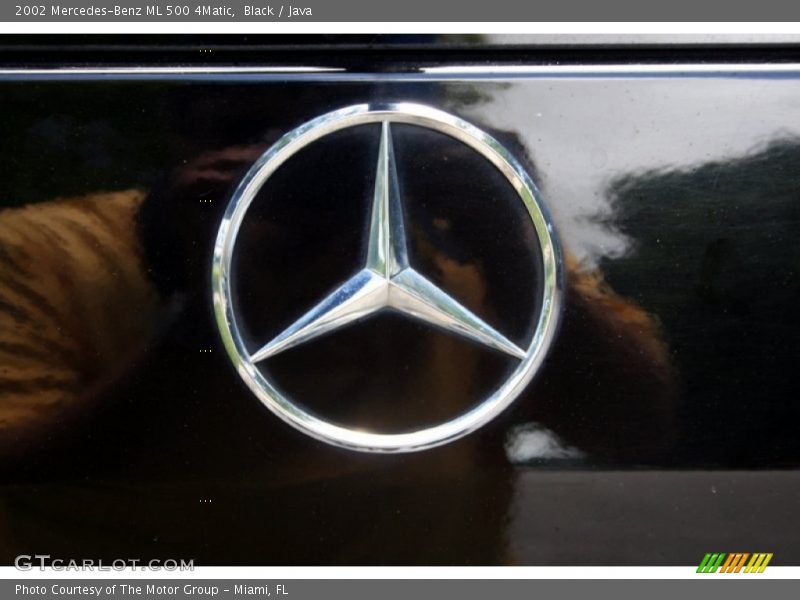 Black / Java 2002 Mercedes-Benz ML 500 4Matic