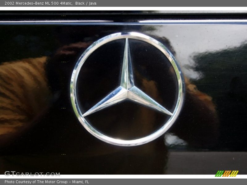 Black / Java 2002 Mercedes-Benz ML 500 4Matic