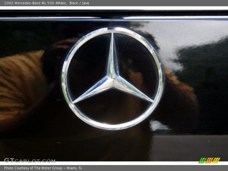 Black / Java 2002 Mercedes-Benz ML 500 4Matic