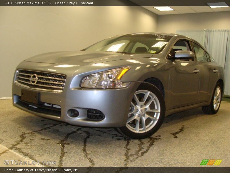 Ocean Gray / Charcoal 2010 Nissan Maxima 3.5 SV