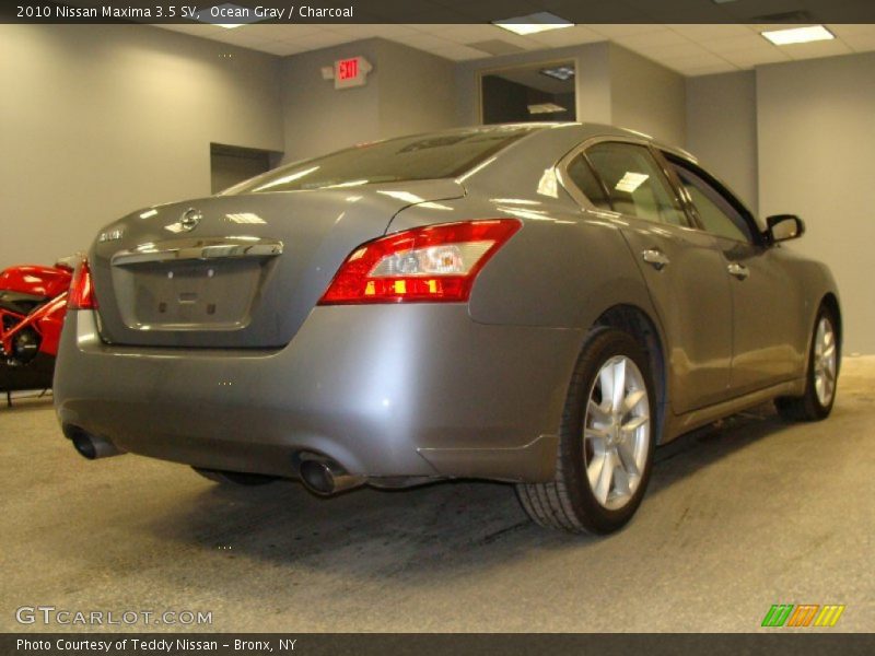 Ocean Gray / Charcoal 2010 Nissan Maxima 3.5 SV