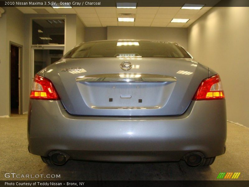 Ocean Gray / Charcoal 2010 Nissan Maxima 3.5 SV