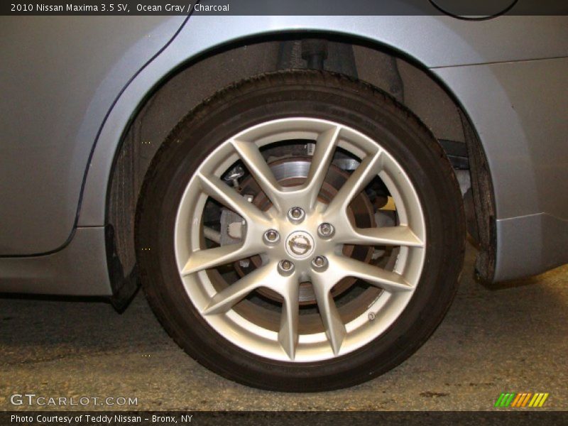 Ocean Gray / Charcoal 2010 Nissan Maxima 3.5 SV