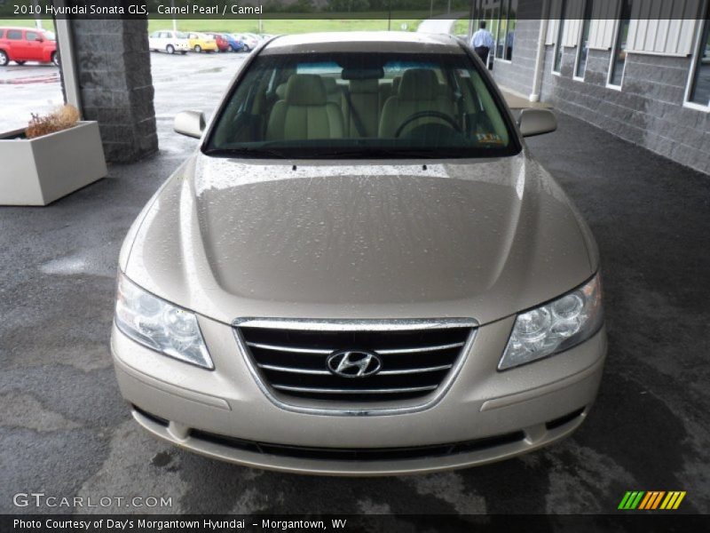 Camel Pearl / Camel 2010 Hyundai Sonata GLS
