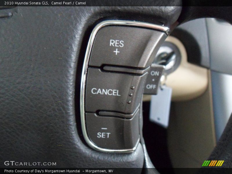 Camel Pearl / Camel 2010 Hyundai Sonata GLS