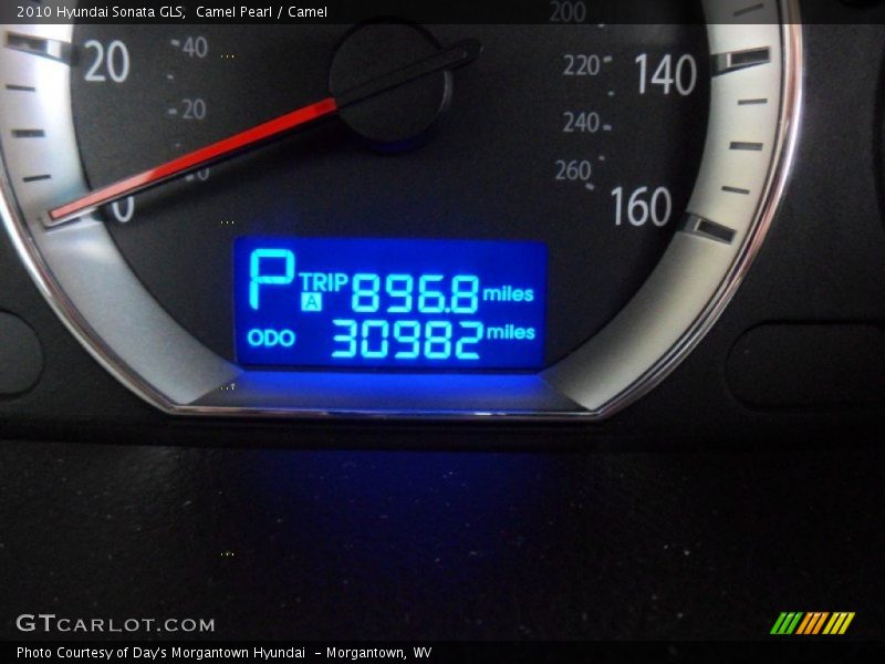 Camel Pearl / Camel 2010 Hyundai Sonata GLS