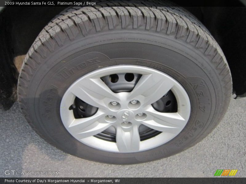 Platinum Sage / Beige 2009 Hyundai Santa Fe GLS
