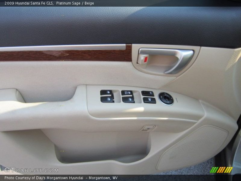 Platinum Sage / Beige 2009 Hyundai Santa Fe GLS