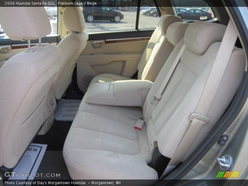 Platinum Sage / Beige 2009 Hyundai Santa Fe GLS