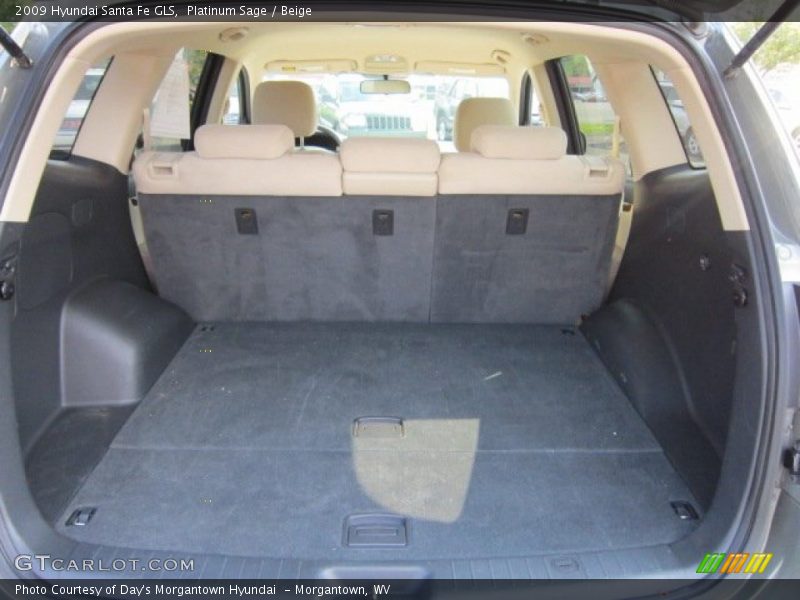 Platinum Sage / Beige 2009 Hyundai Santa Fe GLS