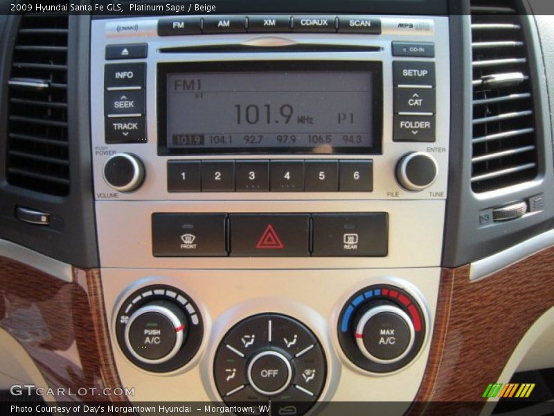 Platinum Sage / Beige 2009 Hyundai Santa Fe GLS