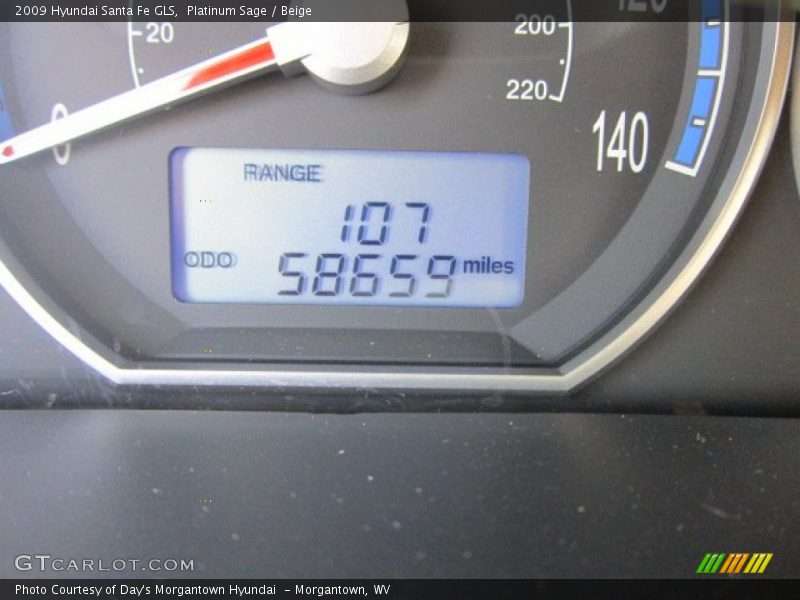 Platinum Sage / Beige 2009 Hyundai Santa Fe GLS