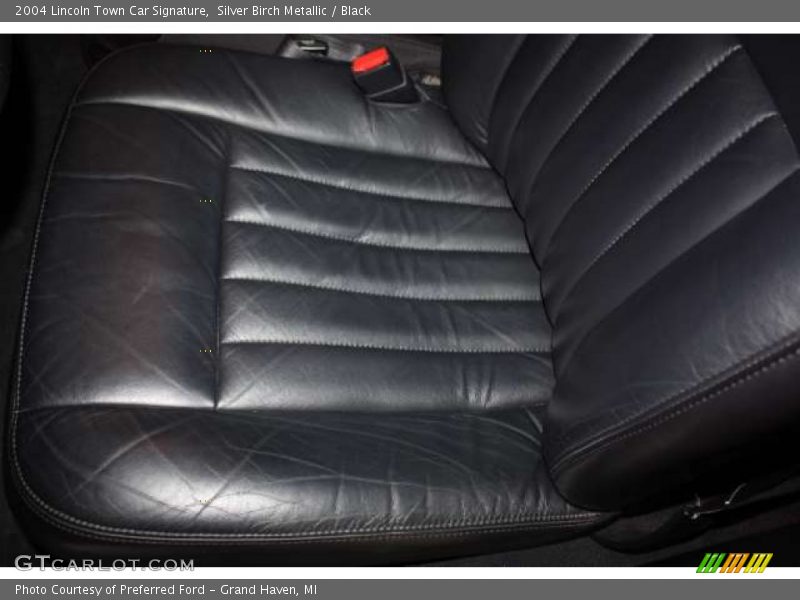 Silver Birch Metallic / Black 2004 Lincoln Town Car Signature