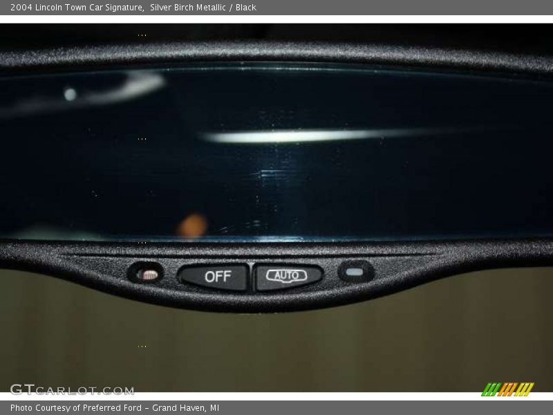Silver Birch Metallic / Black 2004 Lincoln Town Car Signature
