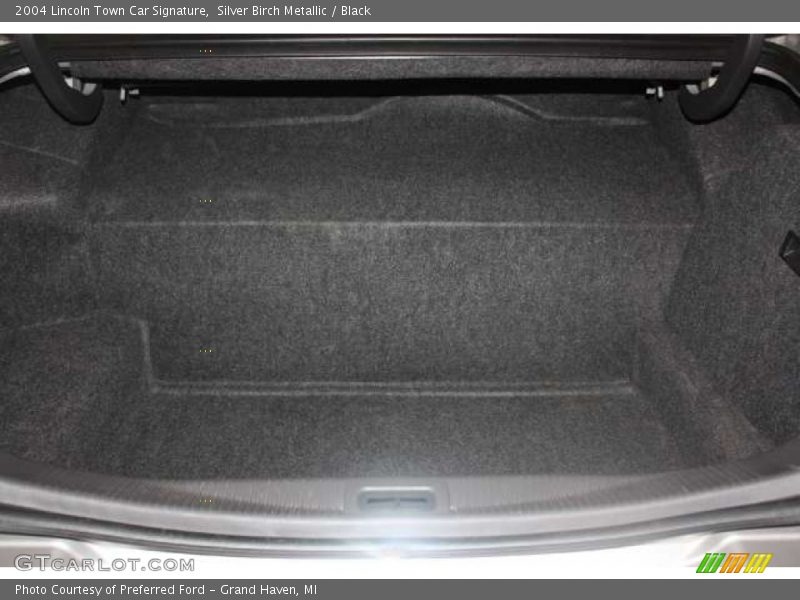 Silver Birch Metallic / Black 2004 Lincoln Town Car Signature