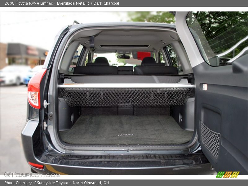 Everglade Metallic / Dark Charcoal 2008 Toyota RAV4 Limited