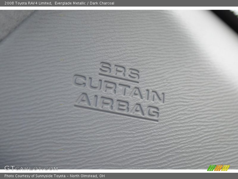 Everglade Metallic / Dark Charcoal 2008 Toyota RAV4 Limited