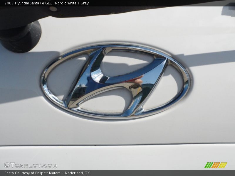 Nordic White / Gray 2003 Hyundai Santa Fe GLS