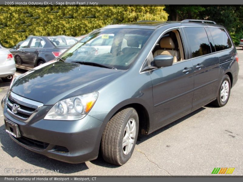 Sage Brush Pearl / Ivory 2005 Honda Odyssey EX-L