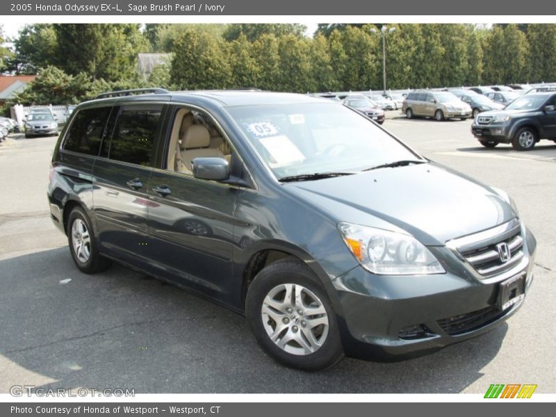 Sage Brush Pearl / Ivory 2005 Honda Odyssey EX-L