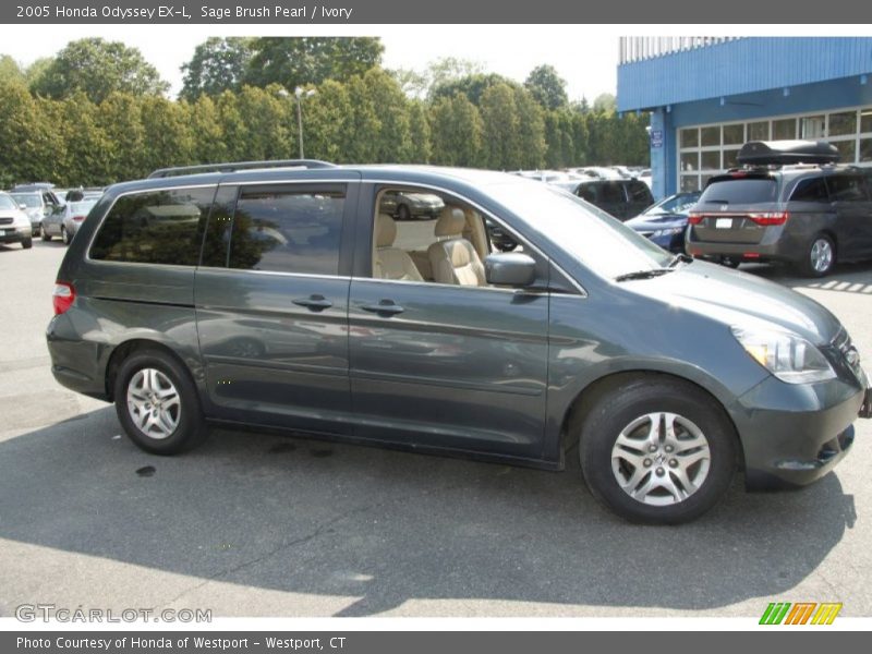 Sage Brush Pearl / Ivory 2005 Honda Odyssey EX-L