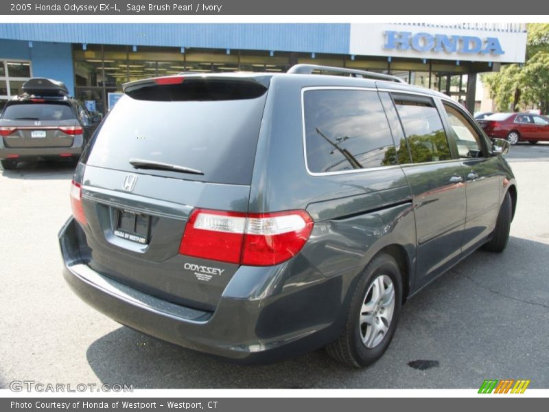 Sage Brush Pearl / Ivory 2005 Honda Odyssey EX-L