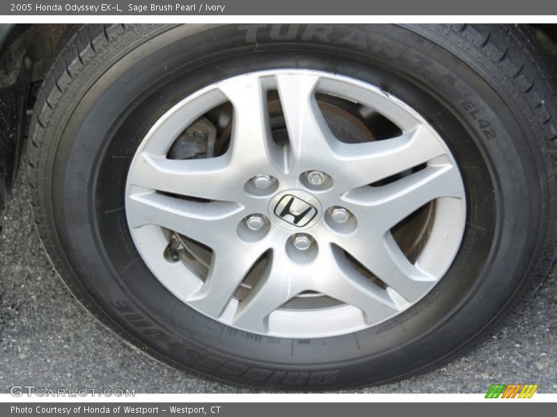 Sage Brush Pearl / Ivory 2005 Honda Odyssey EX-L
